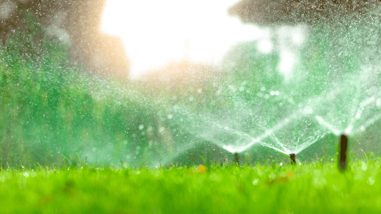 Sprinklers watering a lawn.